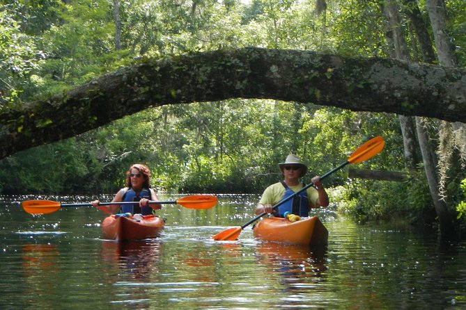 Lofton Creek Kayaking Trip With Professional Guide - Good To Know