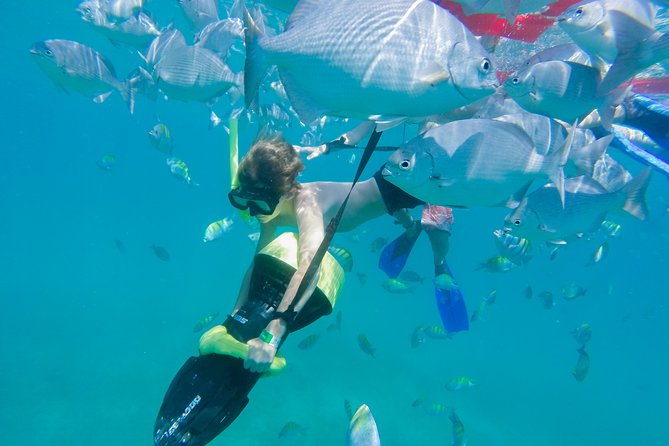 Los Cabos Power Snorkel Adventure, Kayaking and Stand-Up Paddle - Key Points