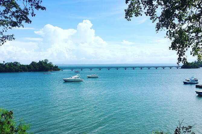 Los Haitises Park & Cayo Levantado: Samaná Unforgettable Journey - Inclusions and Pickup