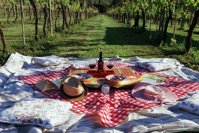 Lucca: Self-Guided Bike Tour + Picnic in the Vineyards - Good To Know