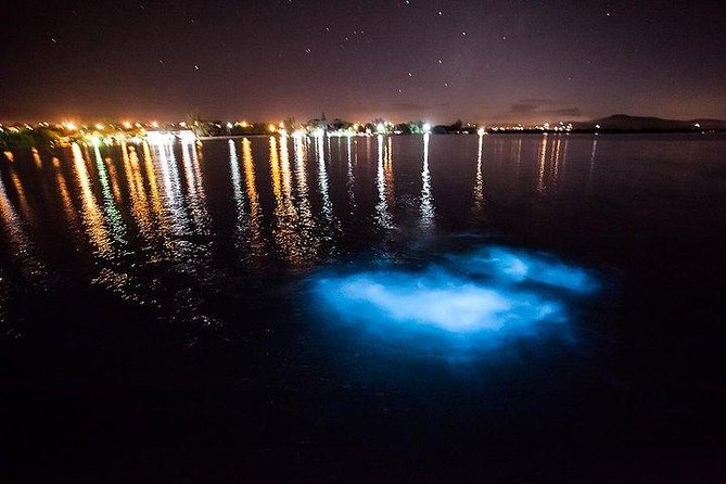 Luminous Lagoon Magical Tour - Good To Know