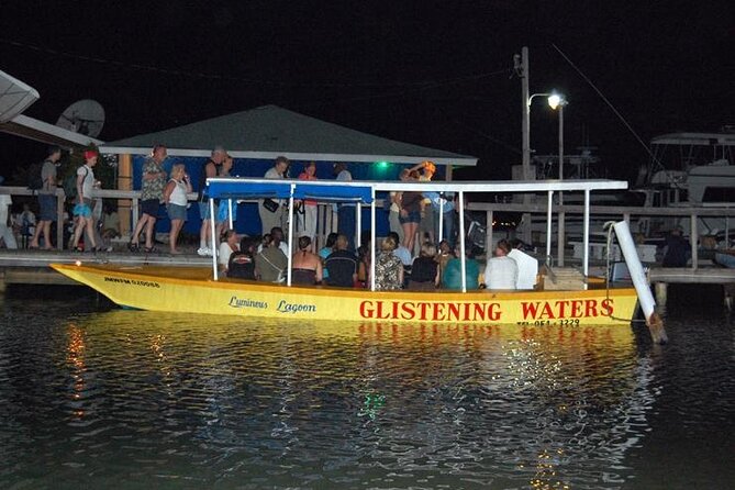 Luminous Lagoon Nighttime Boat Tour From Montego Bay - What Is the Luminous Lagoon?