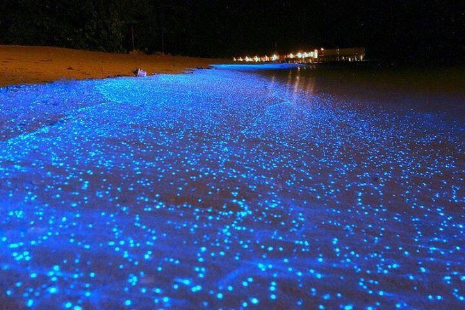 Luminous Lagoon Tour From Grand Palladium - Key Points