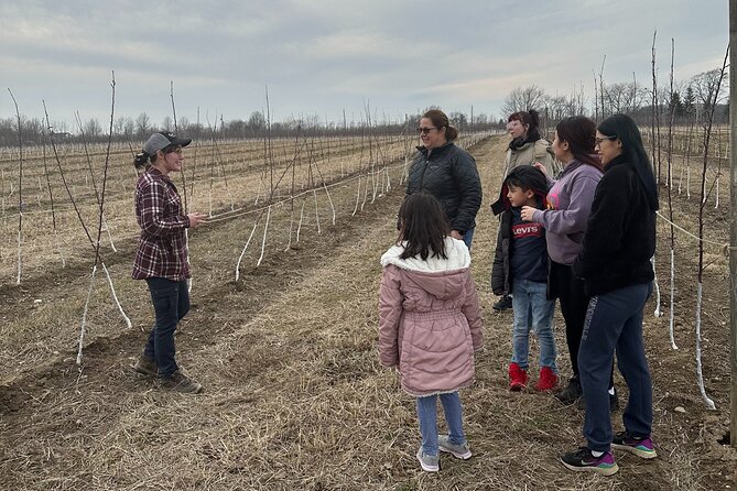 Lunch and Tour of an Apple Orchard With a Farmer in Elyria - About Your Stay