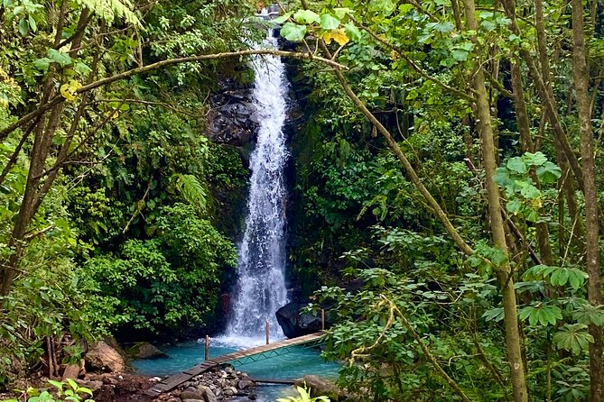 Luxury Day Trip Getting off the Beaten Path Waterfalls & Caverns - About Your Stay