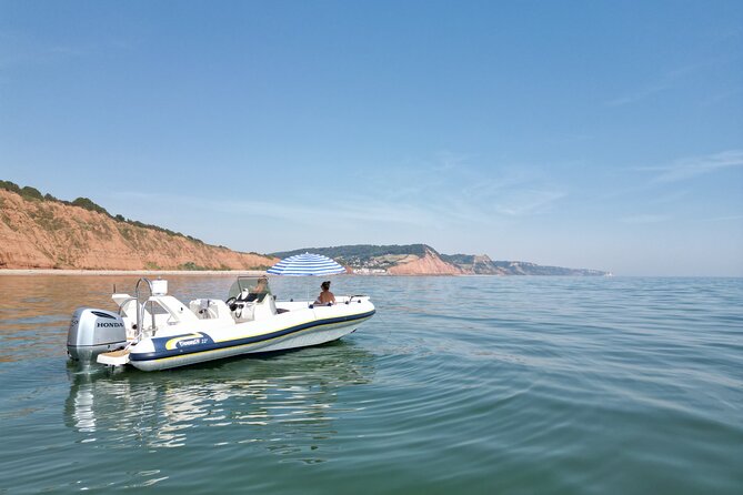 Luxury Private Rib Tour to Babbacombe Bay From Exmouth Marina - Good To Know