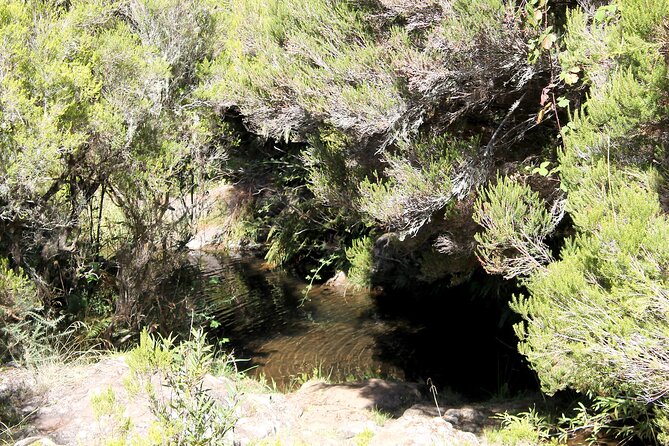 Madeira Lakes - Levada Do Alecrim - Key Points