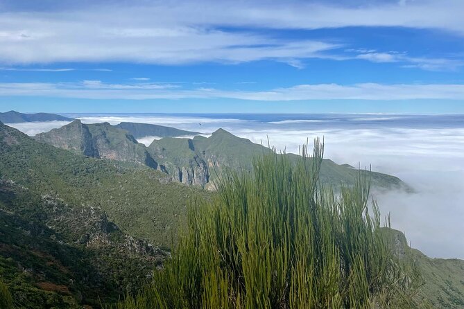 Madeira: Sunrise at Pico Do Areiro and Balcões Hike - Overview of the Experience