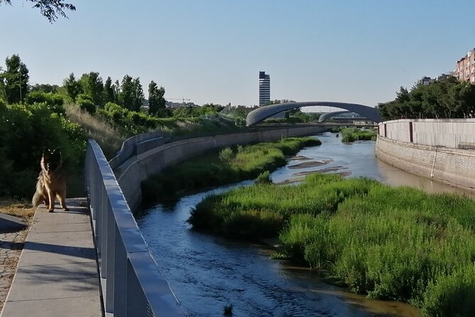 Madrid'S Golden Age: History Along the Manzanares River - Discovering Matadero Centre