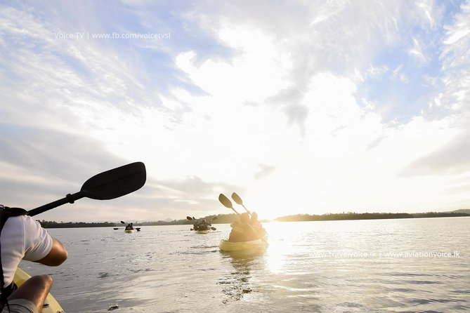 Madu River Sunrise Mangrove Kayaking From Bentota - Good To Know
