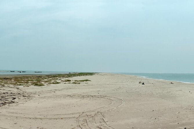 Madurai to Rameswaram Full-Day Tour - Good To Know