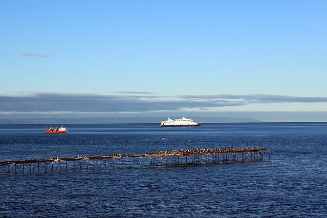 Magallanes Reserva and City Tour. Private Shore Excursion. - About Your Stay