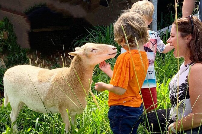 Magical Creatures Sanctuary Private Tour - Good To Know