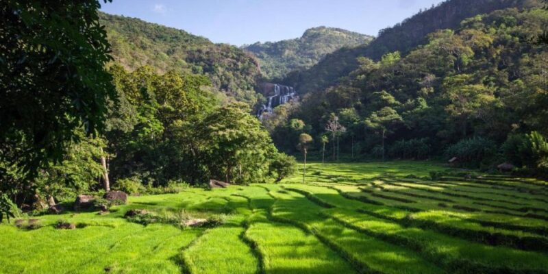 Mahiyanganaya: Overnight Tour to Undiscovered Village - Good To Know