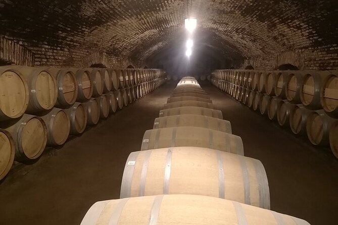 Main Winery of Chile Plus Bahai Temple of South America Day Tour - About Your Stay