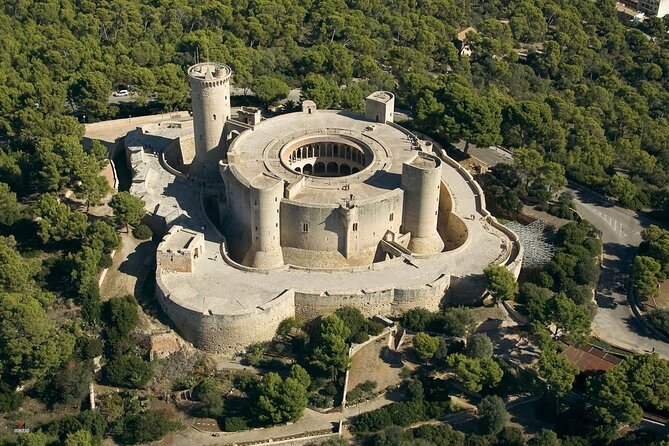 Mallorca Shore Excursion Bellver Castle and Cathedral Private Tour - Pricing and Availability