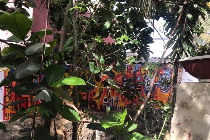 Mamelles Lighthouse and Ngor Island (Walking Tour) - Good To Know