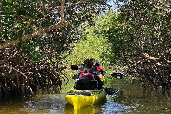 Manatee and Dolphin Kayak Tour - Good To Know