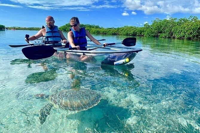 Mangrove Cay Tour - Tour Overview and Details