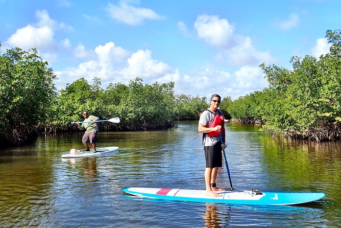 Mangrove SUP Safari - Good To Know