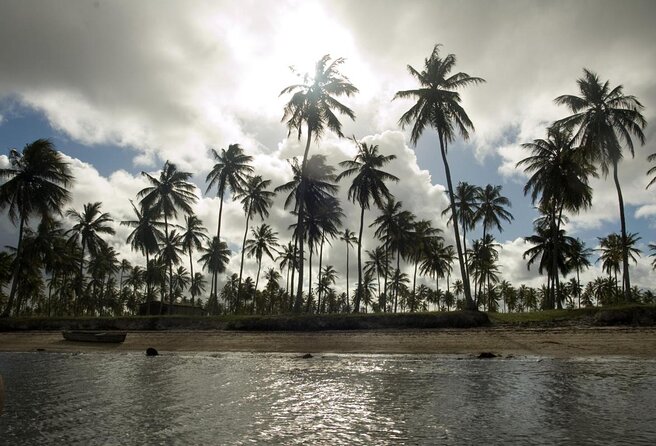 Mangue Seco Day Trip: Boat Ride, Sand Dunes and Swimming - About Your Stay