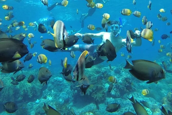 Manta Bay Snorkeling Adventure With Kelingking Beach Nusa Penida All Inclusive - Good To Know