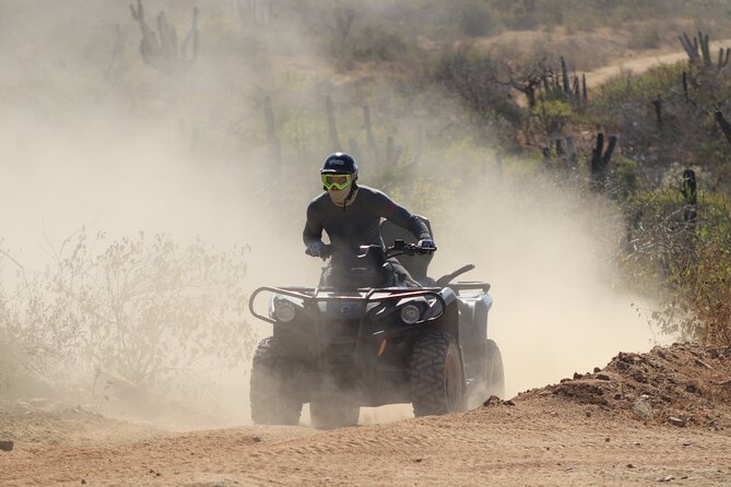 Margaritas Beach and Desert ATV Tour - Key Points