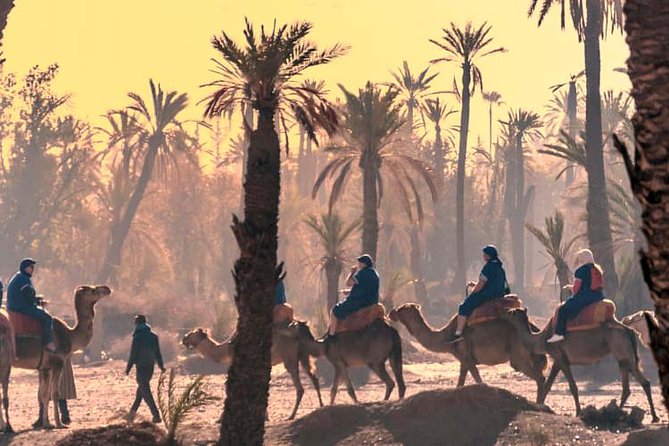 Marrakech Guided Tour From Casablanca With Camel Ride - Pickup and Transfers