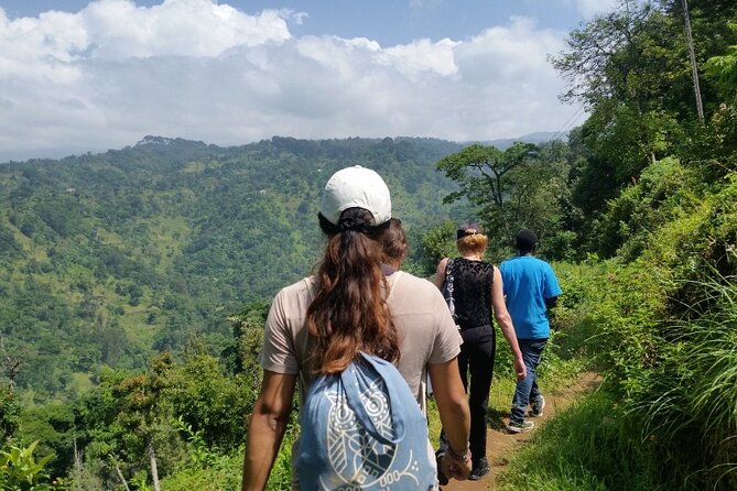 Materuni Thundering Waterfalls,Coffee Experience With Moshi Town Tour - Good To Know