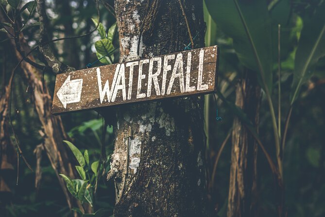 Materuni Waterfall Hike & Coffee Tour - Good To Know