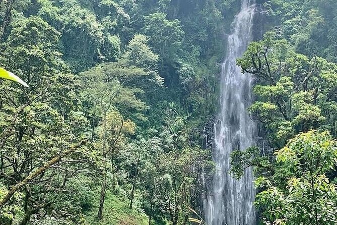 Materuni Waterfalls, Kikuletwa Chemka Hot Springs, Coffee Tour - Key Points
