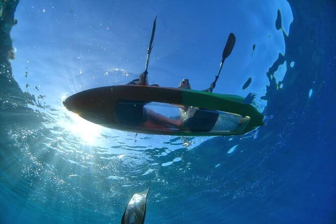 Mauis Only Clear Bottom Kayak Rental (Priced per Tandem Kayak) - Good To Know