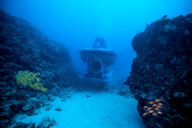 Mauritius Unique Submarine Tour - Good To Know