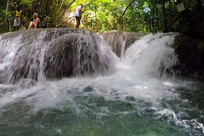 Mayfield Falls River Walk Private Tour - Inclusions