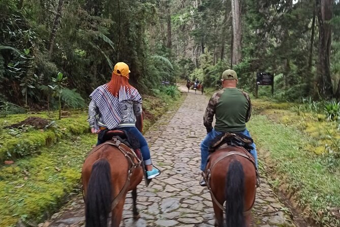 Medellin Horse Ride Coffee Tour and Spa - Good To Know