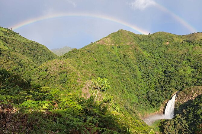 Medellín Private Tour With Waterfall Adventure Zipline & Hiking - About Your Stay