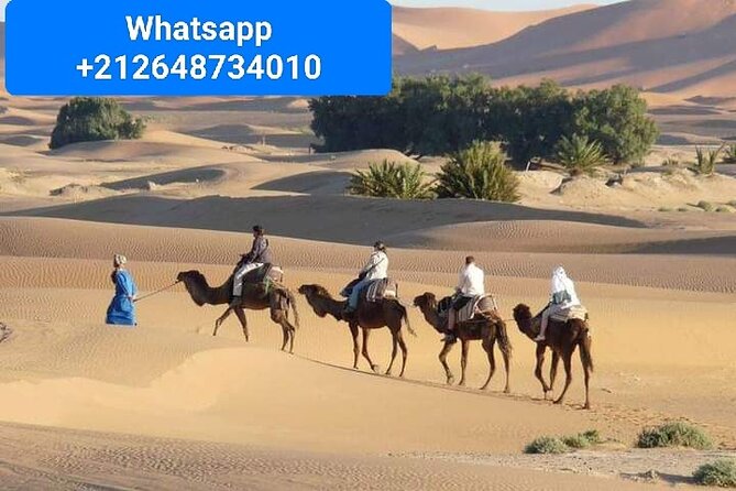 Merzouga Camel Trekking 1 Night Experience - Good To Know