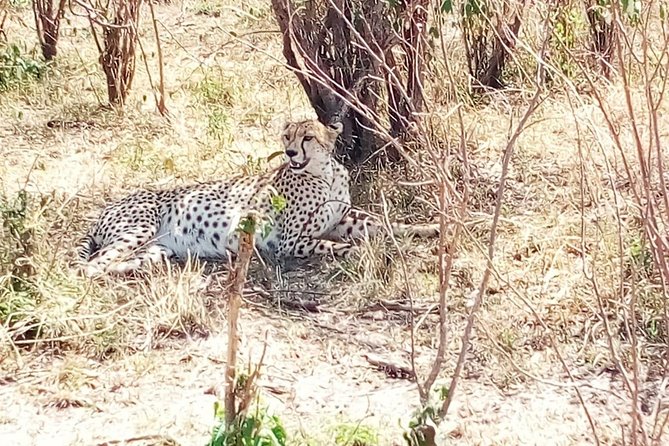 Mikumi National Park Full Day Tour From Dar Es Sallam - Included Experiences