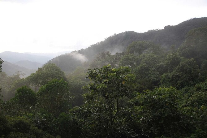 Minca Full Day Tour From Santa Marta - About Your Stay