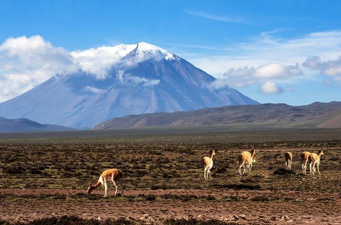 Misti Volcano 2-Day Climbing Trip - Good To Know