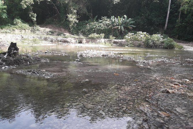 Mobay Roots and Culture Shore Excursion - Discover Montego Bays History