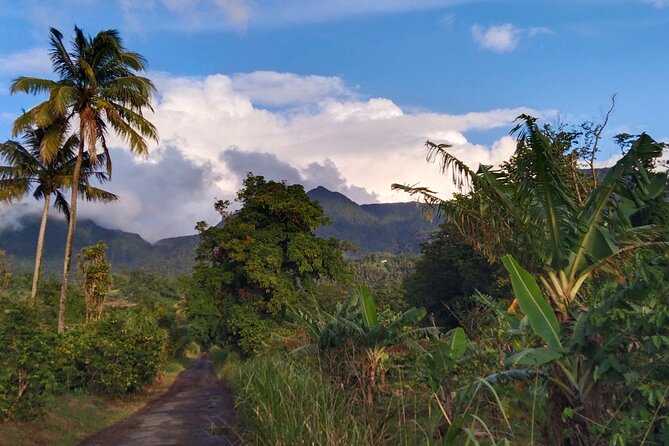 Morne Daiblotin Mountain Climb -Dominicas Tallest - Key Points