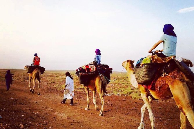 Morocco Desert Trek Dromedary Mhamid Dunes - Good To Know