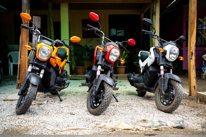 Moto Rentals in Playa Potrero and Flamingo - About Your Stay