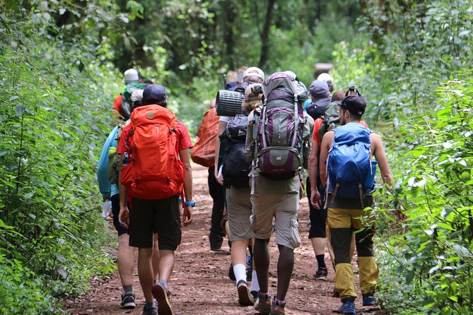 Mount Kilimanjaro Day Hike - Good To Know