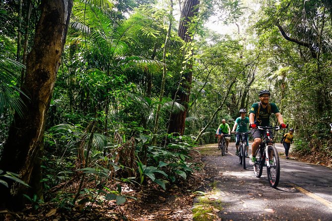 Mountain Bike Tijuca Rain Forest - Exploring the Tijuca Rain Forest