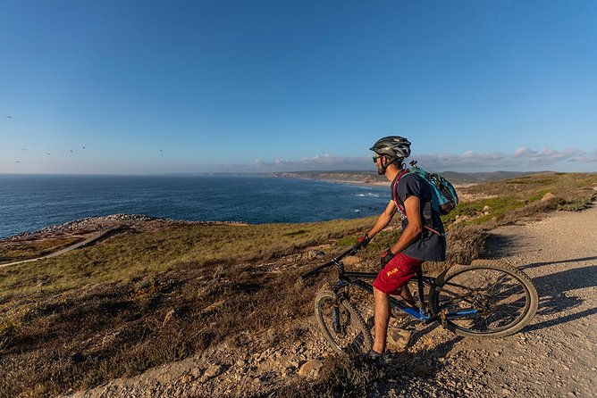Mountain Bikes Standard Rental