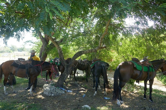 Mountain Horse Back Riding - Included Amenities and Pickup