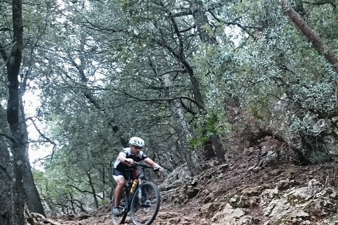 MTB Guided Tour in Bellver Forest and Na Burguesa M.(E-Mtb Avai.) - Good To Know