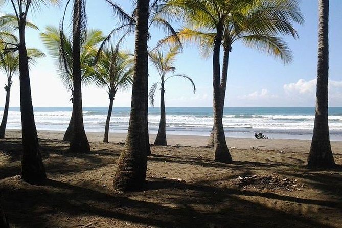 Nauyaca Waterfalls Hike and Surf Lessons - Good To Know